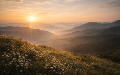 La Sageocratie est née (silencieusement)