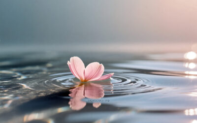 La Paix n’est pas un but