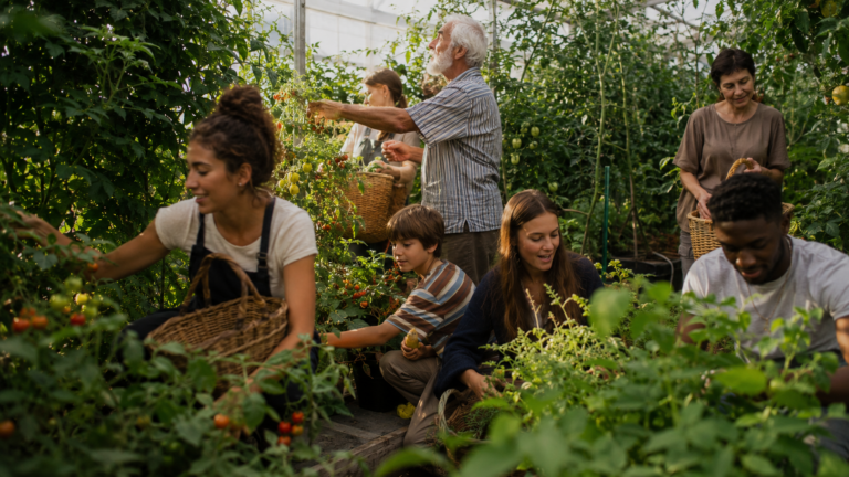Des personnes de tous âges et de toutes origines récoltent ensemble tomates, fruits et légumes dans une serre-jardin lumineuse — l'essentiel comme bien commun, accessible à tous en Sageocratie.